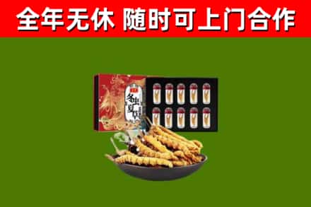 贵阳烟酒回收冬虫夏草礼盒.jpg